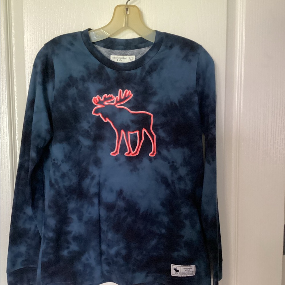 Abercrombie Kids Long Sleeve Blue and Pink Tee